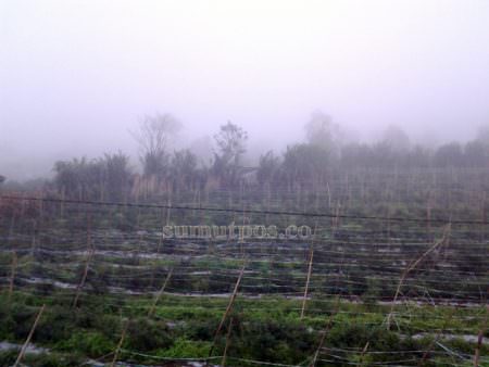 Kabut tebal tampak menutupi permukaan Gunung Sinabung.(Solideo/Sumut Pos)