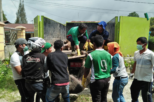 BANGKAI: Petugas dari Dinas Lingkungan Hidup Kabupaten Dairi mengangkat bangkai babi yang mati akibat diserang virus hog cholera, untuk dikubur.
RUDY SITANGGANG/SUMUT POS