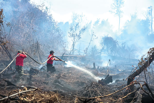 PADAMKAN: Petugas memadamkan salahsatu kebakaran hutan di Kalimantan..