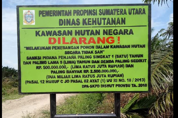 Kawasan Hutan: Areal Perkebunan sawit milik PT SAB/KSU Amelia disita pihak Dishut Sumut untuk dikembalikan sebagai kawasan hutan.