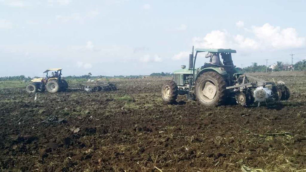 PEMBERSIHAN: Pihak PTPN II menurunkan puluhan alat berat jenis traktor untuk melakukan pembersihan di kebun Sei Semayang. 