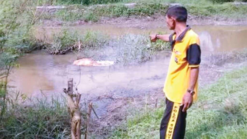 TUNJUK: Anggota Bhabinkamtibmas Kelurahan Timbangan menunjuk lokasi temuan bangkai babi di Sungai Segiling, perbatasan Kota Tebingtinggi.