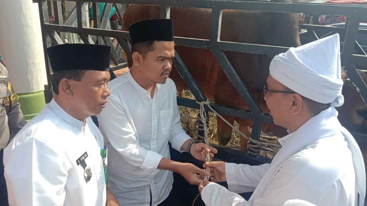 TERIMA: Tuan Guru Babusalam menerima bantuan bupati langkat, berupa satu ekor sapi dan 2 ton beras. ilyas effendy/ sumut pos