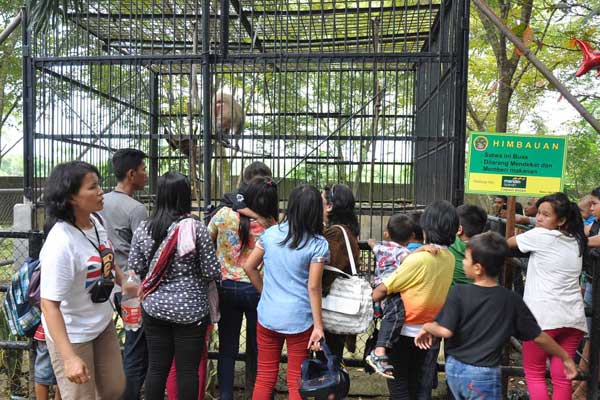 MEDAN ZOO: Pengunjung melihat koleksi binatang di Medan Zoo. TRIADI WIBOWO/SUMUT POS