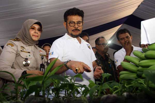 Menteri Pertanian (Mentan) Republik Indonesia Syahrul Yasin Limpo nelihat hasil perkebunan saat kunjungan kerjanya di Kawasan Industri Modern (KIM), Kamis (20/2)