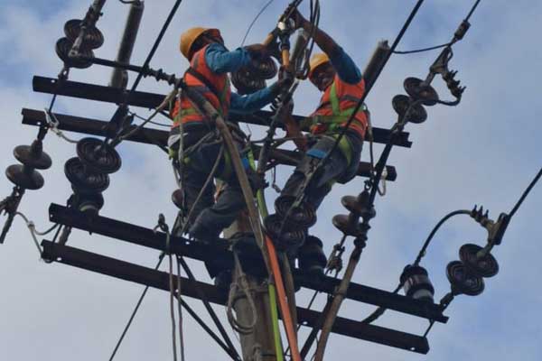 Pemeliharaan: Petugas PLN UP3 Medan saat melakukan pemeliharaan jaringan listrik.