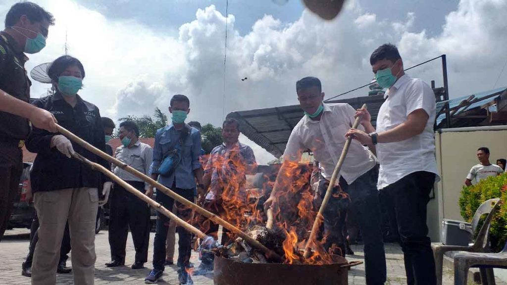 BAKAR: Polsek Medan Labuhan memusnahkan belasan kilogram ganja kering dengan cara dibakar.  