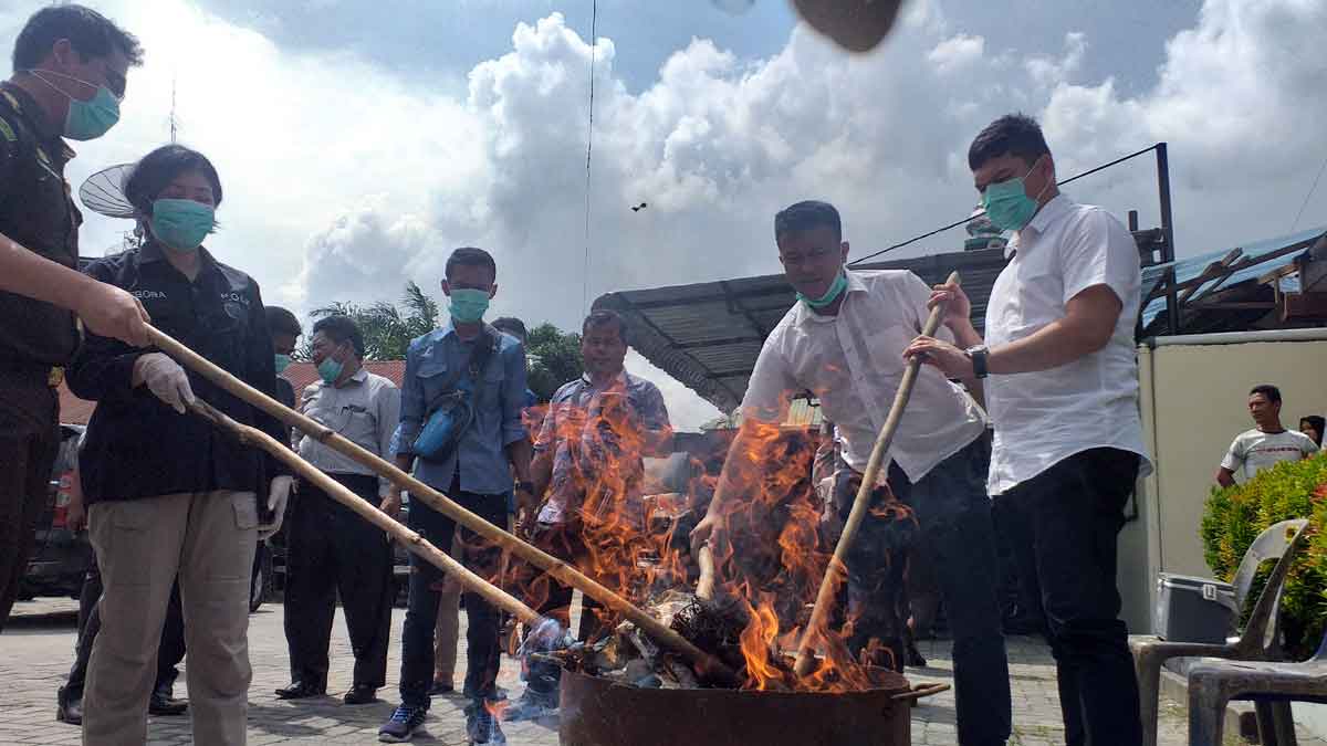 BAKAR: Polsek Medan Labuhan memusnahkan belasan kilogram ganja kering dengan cara dibakar.