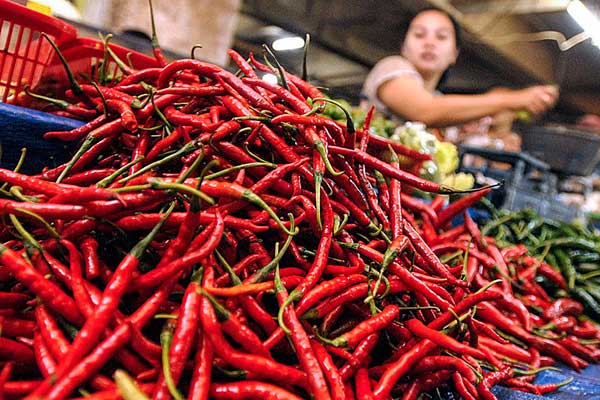 RAPI: Pedagang sedang merapikan barang dagangnnya berupa cabai merah di Pasar Petisah, Medan, beberapa waktu yang lalu.