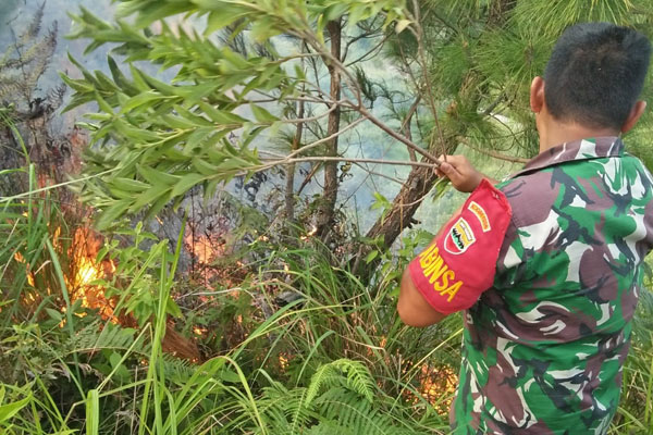 PADAMKAN API:Terlihat Babinsa Desa Silalahi sedang memadamkan api secara manual di lokasi kebakaran di kawasan Danau Toba tepatnya di Desa Silalahi 3 Kecamatan Silahisabungan Kabupaten Dairi. RUDY SITANGGANG/SUMUT POS