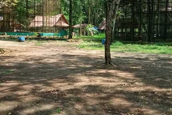 SEPI: Kondisi Medan Zoo (Kebun Binatang Medan) yang sepi kunjungan, Minggu (22/3). Mulai hari ini, Senin (23/3), Medan Zoo ditutup selama sebulan untuk menghindari virus corona.
