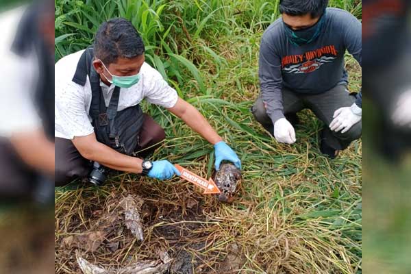 DITEMUKAN: Tim Inafis Polres Belawan melakukan olah tempat kejadian perkara di lokasi penemuan sesosok mayat pria tak dikenal.