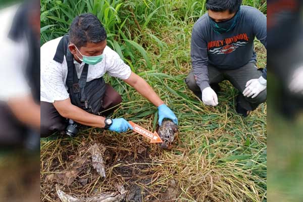 DITEMUKAN: Tim Inafis Polres Belawan melakukan olah tempat kejadian perkara di lokasi penemuan sesosok mayat pria tak dikenal.  