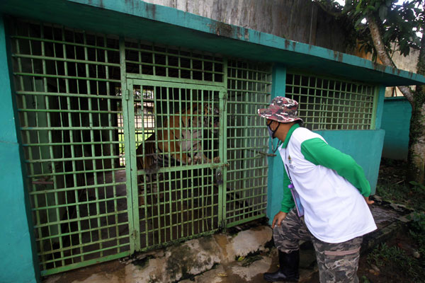 MEDAN ZOO: Kondisi Medan Zoo sebelum pandemi Covid-19. Pemko Medan siapkan anggaran Rp200 juta untuk makan satwa di Medan Zoo.