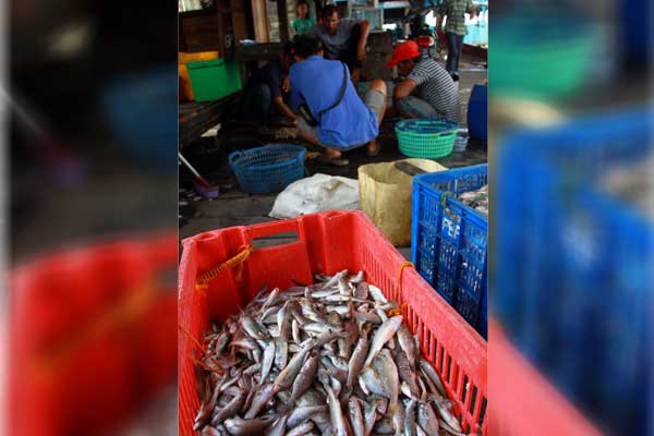 IKAN: Sejumlah nelayan memilah ikan untuk dijual di tempat pelelangan ikan (TPI) Bagan Deli, Medan Belawan, Kamis (17/4) lalu. TRIADI WIBOWO/SUMUT POS