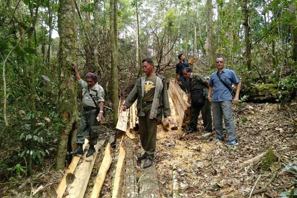 TINJAU LOKASI: Polisi Kehutanan dan Polres Karo saat meninjau lokasi penebangan liar hutan lindung di Kawasan Relokasi Pengungsi Tahap 3.