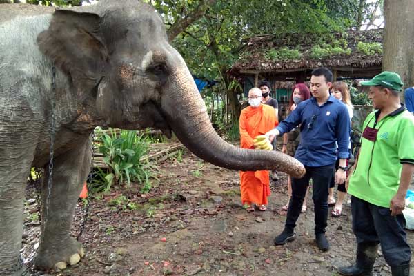 Kunjungan:Rizki Lubis saat memberi makan Gajah koleksi Medan Zoo.