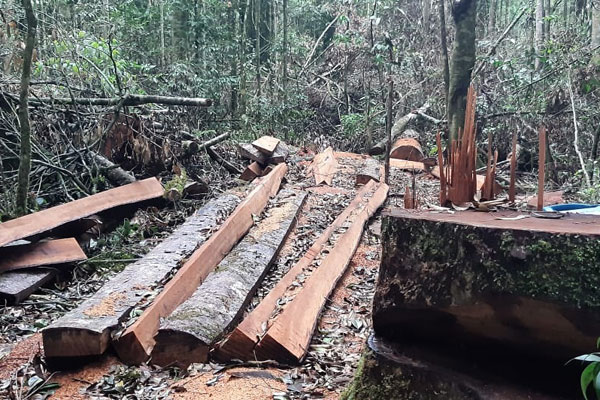 TINJAU: Tim Pecinta Motor Trail XTRIM Tanah Karo meninjau Penebangan Kayu secara Ilegal di Kawasan hutan lindung Siosar, Kecamatan Merek, Kabupaten Karo, baru-baru ini.