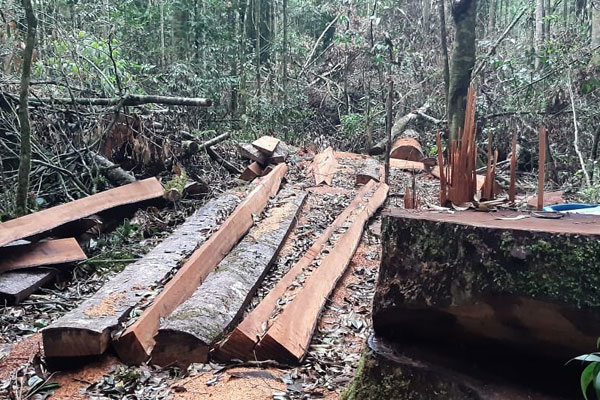 TINJAU: Tim Pecinta Motor Trail XTRIM Tanah Karo meninjau Penebangan Kayu secara Ilegal di Kawasan hutan lindung Siosar, Kecamatan Merek, Kabupaten Karo, baru-baru ini. 