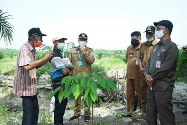 TINJAU: Bupati Batubara Zahir bersama Kadis PUPR, camat, Kades Karang Baru, meninjau tanggul jebol. sopian/sumut pos