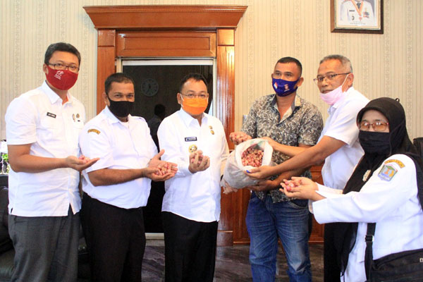 TUNJUKKAN: Wali Kota Binjai, HM Idaham (tengah) didampingi Darmawan dari Kelompok Harapan Tani menunjukkan hasil bawang merah organik.teddy akbari/ sumut pos.
