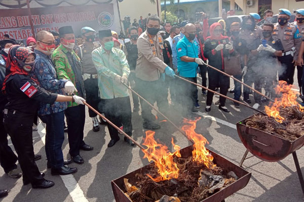 BAKAR GANJA: Polrestabes Medan memusnahkan barang bukti 348 kilogram ganja kering dengan cara dibakar menggunakan tungku, di lapangan Mapolrestabes Medan Jalan HM Said, Jumat (28/8) sore.