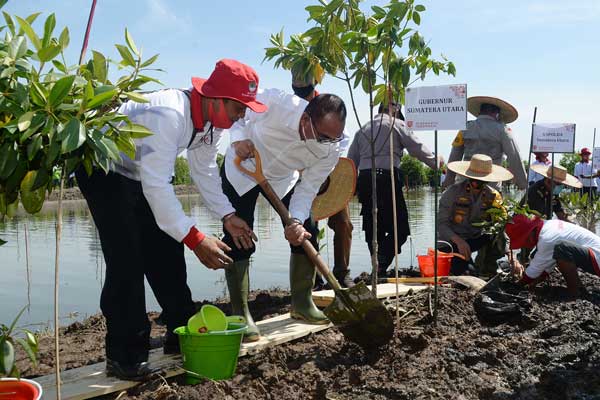 MANGROVE: Gubsu Edy Rahmayadi menanam bibit mangrove di Desa Pasar Rawa, Gebang, Langkat, Senin (3/8). Kegiatan ini memperingati Hari Mangrove sedunia sekaligus menyambut HUT ke-75 RI.