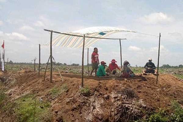 PTPN IV Kebun Bah Jambi sampai saat ini mengelola areal Hak Guna Usaha (HGU).