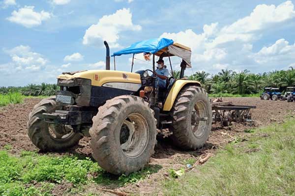 PEMBERSIHAN: Alat berat sedang bekerja melakukan pembersihan lahan untuk dilakukan tanam ulang tebu di Desa Banyumas, Stabat, Langkat. TEDDY AKBARI/SUMUT POS.