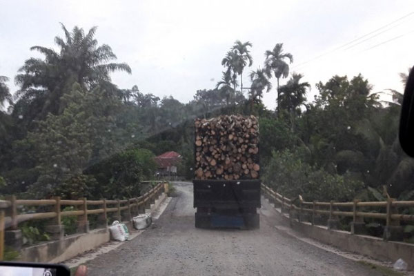 MELINTAS: Truk angkut kayu gelondongan melintas di atas jembatan yang nyaris roboh di Desa Kwala Musam, Kecamatan Batangserangan, Kabupaten Langkat.