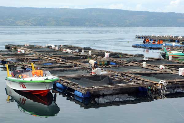 JARING APUNG: Keramba jaring apung yang ada di perairan Danau Toba. Saat ini jumlahnya sekitar 10 ribu KJA, tersebar di berbagai kawasan perairan Danau Toba.triadi wibowo/sumut pos.