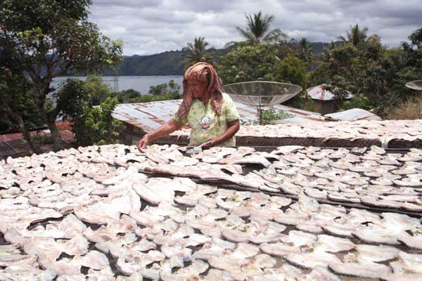 IKAN ASIN: Ma Prandika Gultom (57), menjemur ikan tilapia asin, di belakang rumahnya di Desa Sitiotio, Kecamatan Simanindo, Kabupaten Samosir. Ikan mentah diperolehnya dari KJA Regal Spring Indonesia. Seminggu, ia bisa memproduksi 80 kg ikan asin, dengan harga jual saat ini Rp27 ribu per kg.