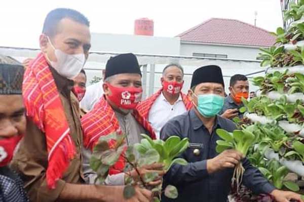 HIDROPONIK: Anggota DPD RI M Nuh (tengah) bersama Wagubsu Musa Rajekshah dan Bupati Karo Terkelin Brahmana saat meninjau kebun hidroponik di Desa Kutambelin, Kecamatan Naman Teran, Kabupaten Karo.