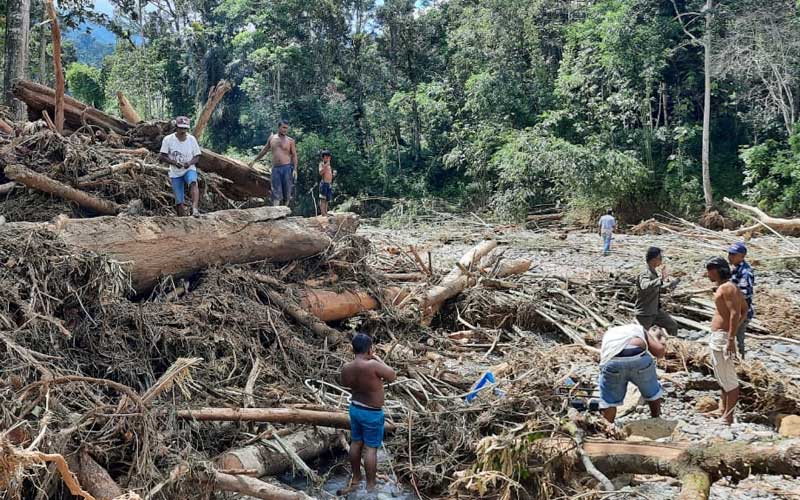 PUING-PUING: Sejumlah masyarakat berusaha mengumpulkan puing-puing yang berharga di tengah tumpukan kayu bekas terjangan banjir bandang di Bohorok, Kabupaten Langkat, Kamis (19/11).Camat Bahorok for Sumut Pos.