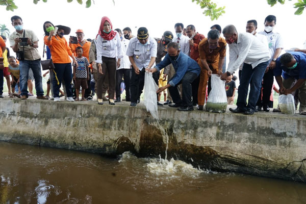 SOPIAN/SUMUT POS BERIKAN BANTUAN: Wali Kota Tebingtinggi Umar Zunaidi Hasibuan saat menabur bantuan bibit ikan di Kelurahan Pinang Mancung, Kecamatan Bajenis, Kota Tebingtinggi, Rabu (11/11).