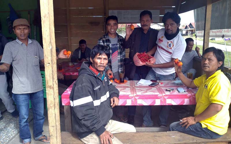 TUNJUKKAN: Para petani Lintong Nihuta saat menunjukkan hasil panen dari bercocok tanam cabai dan tomat, Kamis (3/12).DEDY EFFENDI SIMBOLON/SUMUT POS.