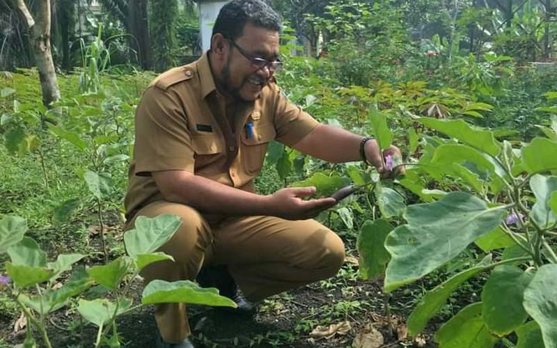 HASIL: Kabid Pengelolaan Sampah dan Limabah B3 Dinas Lingkungan Hidup Kabupaten Labuhanbatu, Supardi Sitohang, saat menunjukkan tanaman holtikultura yang ditanam di lahan kosong, Senin (14/12). FAJAR DAME HARAHAP.