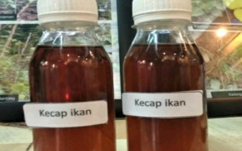 KECAP IKAN: Produk Kecap Ikan yang sudah jadi diolah dan siap dipasarkan. Kecap Ikan ini menjadi peluang bisnis.