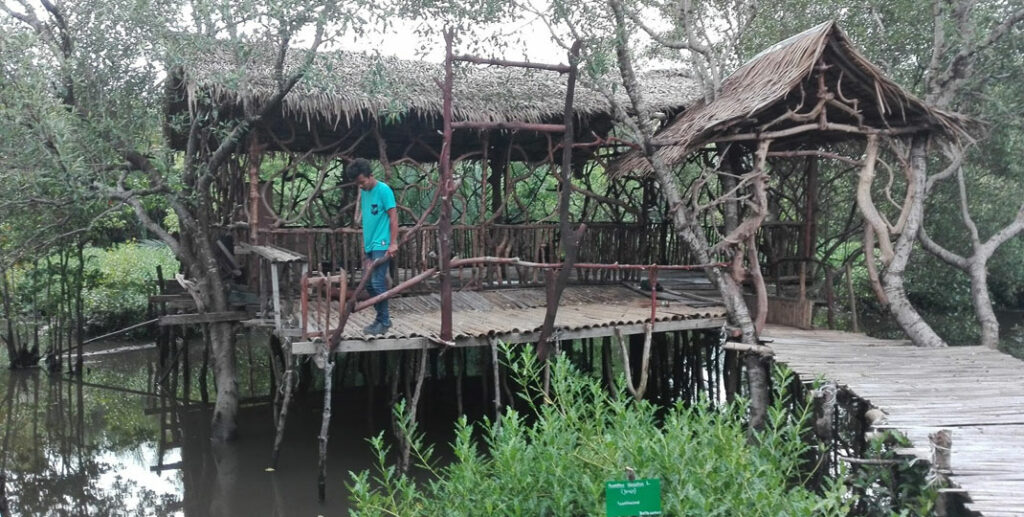 MANGROVE: Seorang pengunjung menikmati suasana hutanmangrove di Sicanang, Belawan. Ada  600 hektare Ruang Terbuka Hijau (RTH) di kawasan Medan Utara akan diubah peruntukannya menjadi kawasan pemukiman, perkantoran ataupun Industri.