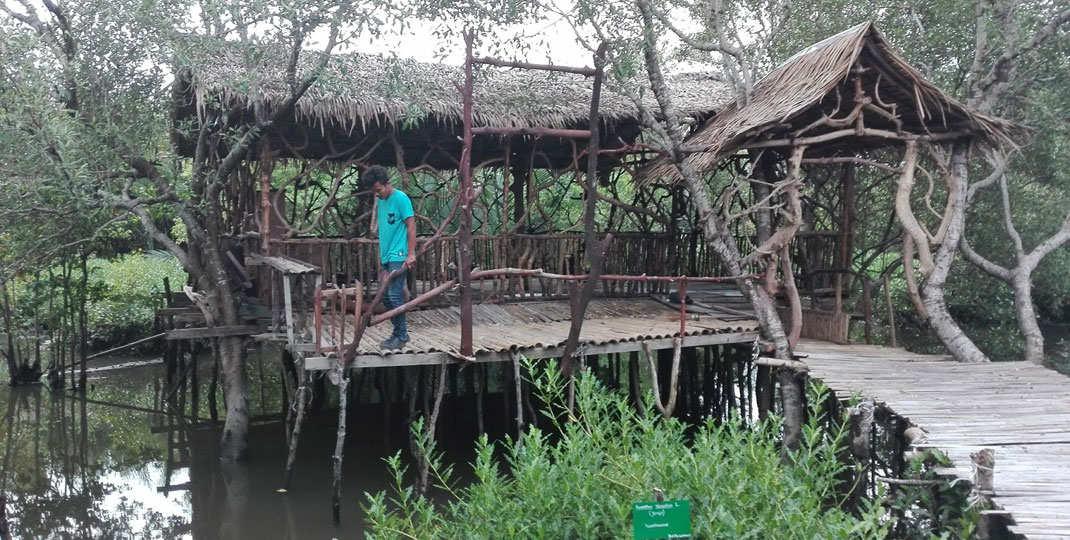 MANGROVE: Seorang pengunjung menikmati suasana hutanmangrove di Sicanang, Belawan. Ada 600 hektare Ruang Terbuka Hijau (RTH) di kawasan Medan Utara akan diubah peruntukannya menjadi kawasan pemukiman, perkantoran ataupun Industri.