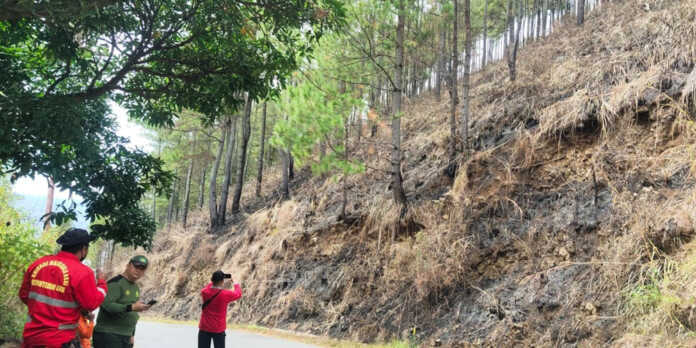 Kebakaran-Hutan-Samosir2