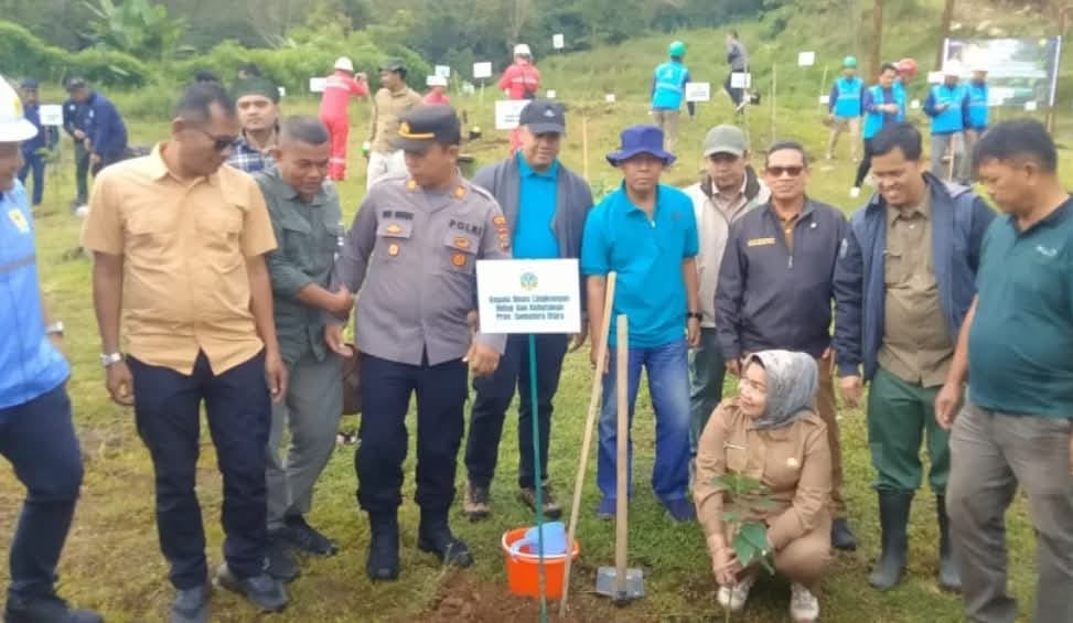 TANAM: Penanaman pohon serantak di seputar Lau Kawar. SOLIDEO/SUMUT POS