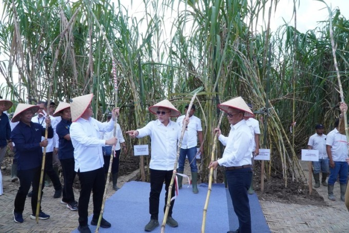 PANEN: Menko Bidang Pangan, Zulkifli Hasan alias Zulhas saat panen tebu di Kebun Kwala Madu.(Istimewa/Sumut Pos)