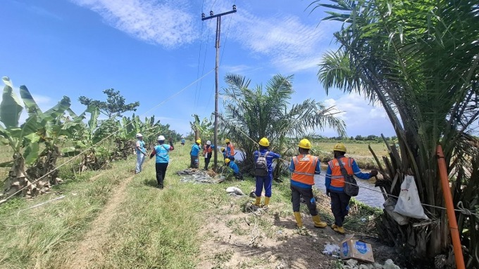 Petugas PLN saat bergotong royong melakukan pemeliharaan jaringan 20 kV di Desa Nelayan Seberang