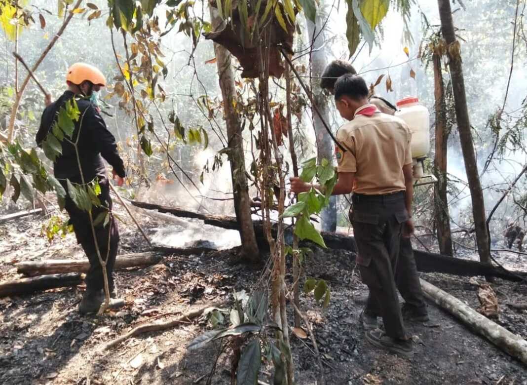 PADAMKAN: Satbrimob Polda Sumut bersama masyarakat saat memadamkan api yang membakar hutan dan lahan, di Desa Gunung Manapun Kecamatan Aosa Timur, Padanglawas (Palas).