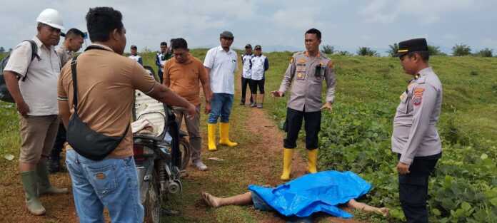 IDENTIFIKASI: Polresta Deliserdang saat melakukan identifikasi jasad korban di Kebun Lonsum Dusun V Desa Seimerah Kecamatan Tanjungmorawa, Kabupaten Deliserdang, Jumat (12/9).