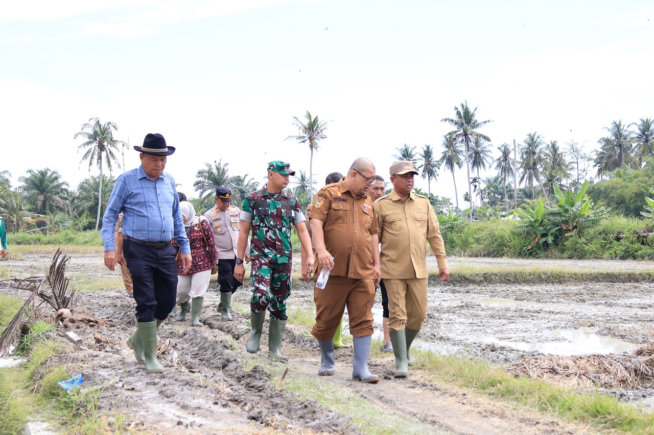 Buka Gerakan Optimasi Lahan Rawa, Bupati Sergai Target Produktivitas Padi Naik