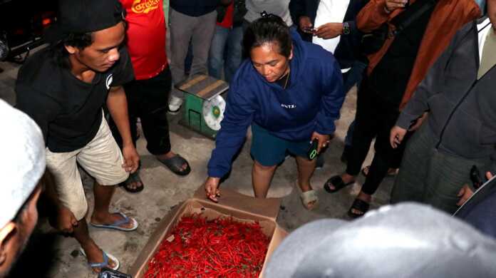 KEDATANGAN CABAI: Kepala Biro Perekonomian Setdaprov Sumut, Poppy Marulita Hutagalung menerima kedatangan tahap pertama cabai merah dari Jawa, di Pasar Lau Cih, Medan, Sabtu (18/10).