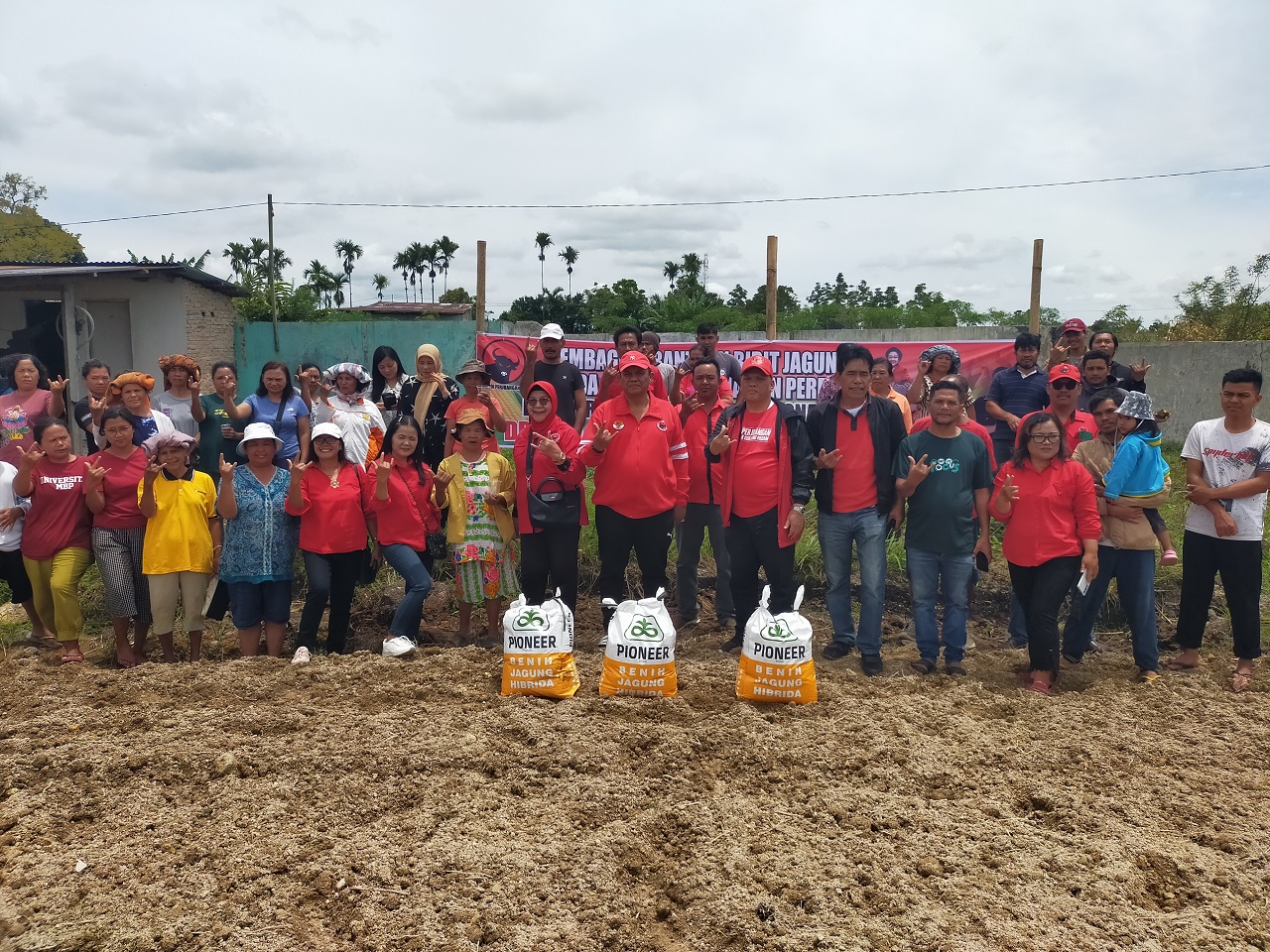 DPD PDIP Sumut ke Petani Dairi Salurkan Bantuan Bibit Jagung Hibrida P32