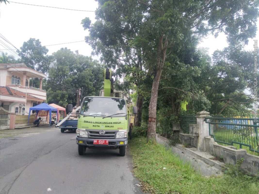 PANGKAS POHON: Petugas dari DLH Binjai saat memangkas ranting pohon yang membahayakan pengendara.(Istimewa)